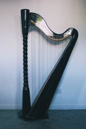 Why you should have a will. Harps for Sale