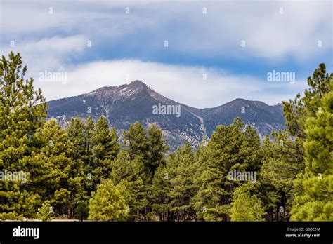 Landscape With Humphreys Peak Tallest In Arizona Stock Photo Alamy