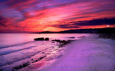 Ocean Purple Sunset Download Best Hd Images Wallpaper
