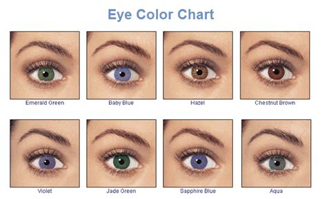 The Best Eye Shadows For Your Eye Color Ihoot Effy Moom Free Coloring Picture wallpaper give a chance to color on the wall without getting in trouble! Fill the walls of your home or office with stress-relieving [effymoom.blogspot.com]