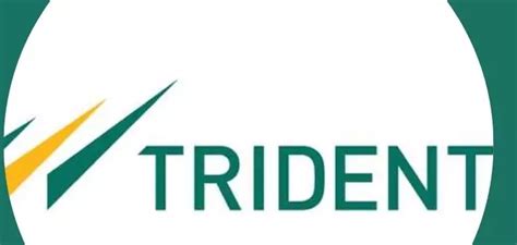 Trident Share Price Target For 2022 2023 2024 2025 Stockswithgeeks