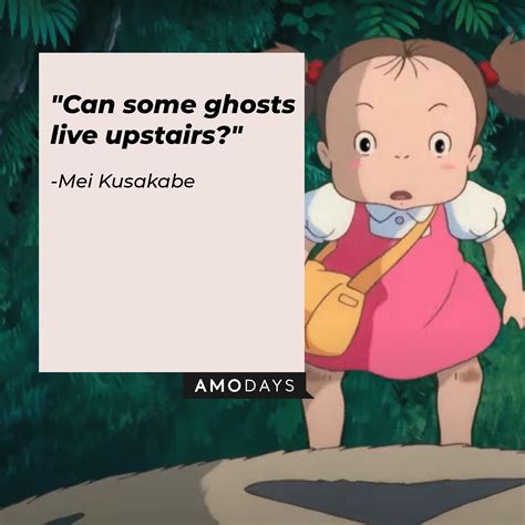 15 My Neighbor Totoro Quotes From Hayao Miyazakis Movie