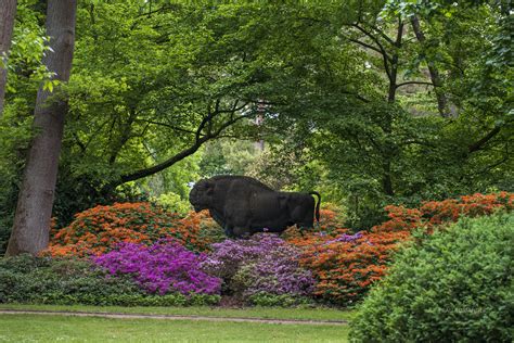 Dazu gibt es umfangreiche banken für pflanzensamen in den jeweiligen gärten. Botanischer Garten Bremen | Flickr