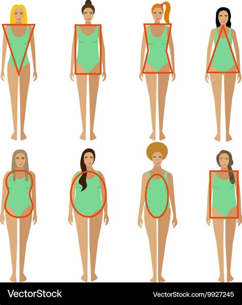 Female Body Shapes Telegraph