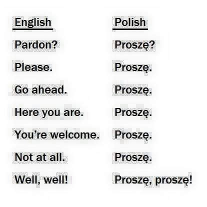 Check spelling or type a new query. Polish vs English | Learn polish, Polish words, Polish ...