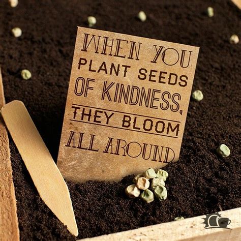 Yes They Do Bloom Where You Are Planted Planting Seeds Kindness Quotes
