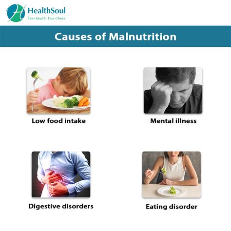 Malnutrition Causes Symptoms Diagnosis And Treatment