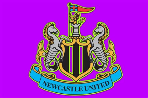 Photo Bbc Compiles A ‘paper Talk Xi For Newcastle United Next Season