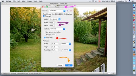 Xnview is a free software for windows that allows you to view, resize and edit your photos. Xnviewmp Xnview Full - Xnviewmp Free Download / Xnview mp ...