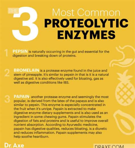 Proteolytic Enzymes Benefits Sources Supplements And More Dr Axe