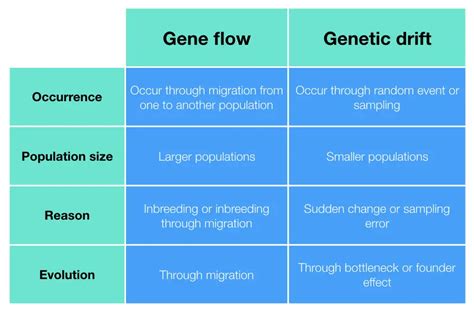 Gene Flow Vs Genetic Drift The Battle Of Genetic Forces Genetic