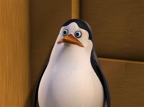 Puppy Eyed Private Penguins Of Madagascar Photo 19639841 Fanpop