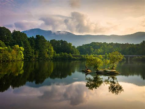 North Carolina Fishing Lakes The Definitive Guide Wild Hydro