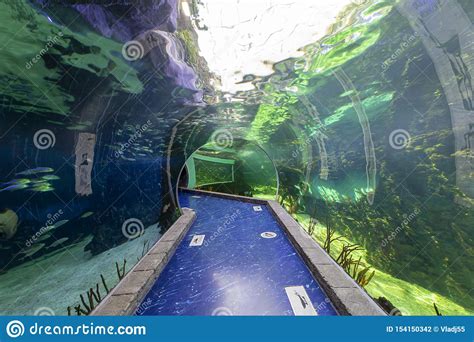The Interior Of The Oceanarium Crocus City Over 5000 Species Of Fish