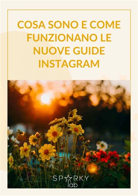 Cosa Sono E Come Funzionano Le Nuove Guide Instagram Seo E Online