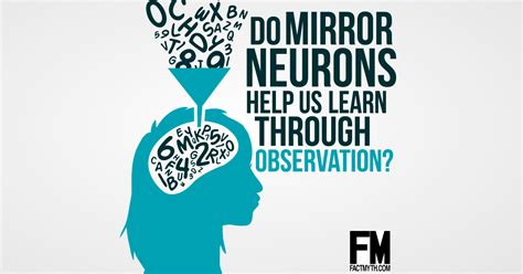 Mirror Neurons Fire When Observing And Preforming An Action Fact Or Myth
