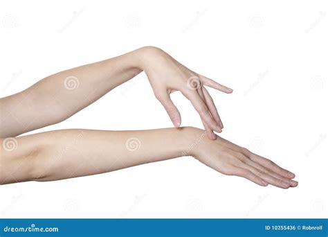 Stroking Hands Royalty Free Stock Image Image 10255436