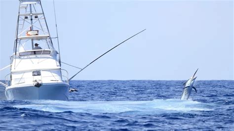 Record Million Dollar Marlin Wins Th White Marlin Open Guns