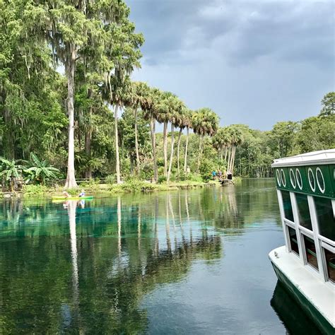 Family Getaway in Ocala, Florida - She's On The Go