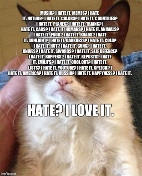 A Shortened List Of Everything Grumpy Cat Hates Imgflip