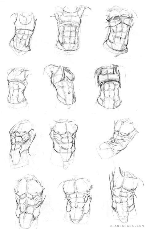 Torso Studies By Banjodi Art Reference Human Anatomy Art Drawings