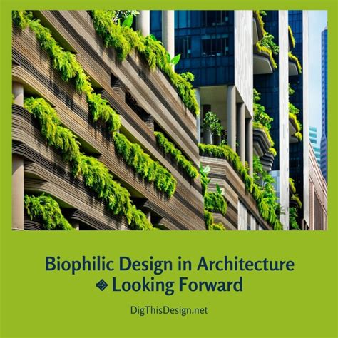 Biophilic Design In Architecture • Looking Forward Dig This Design