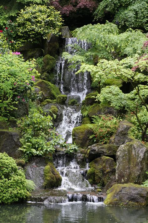Japanese Garden Waterfall Backyard Water Feature Natural Pond