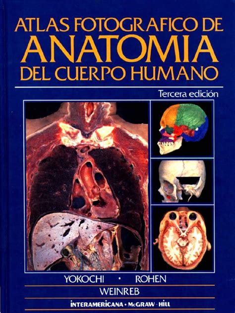 Atlas Fotográfico De Anatomía Del Cuerpo Humano 3a Ed Yokochi J Rohen E Weinreb