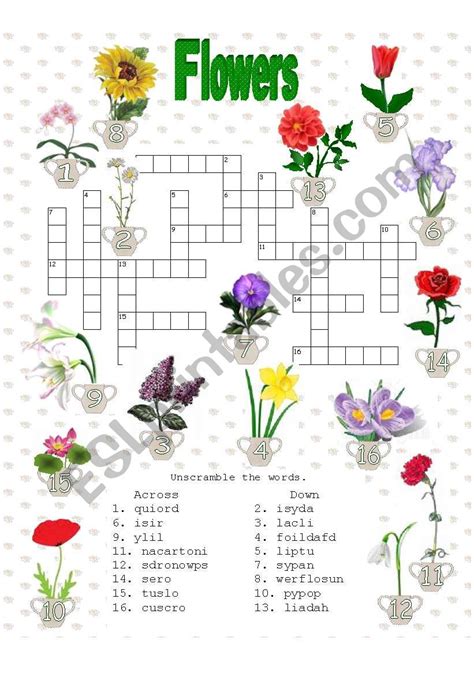 Flower Crossword Puzzles