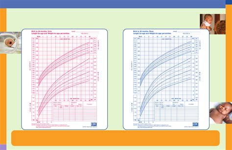 Download Newborn Baby Weight Growth Chart 1 For Free Page 2