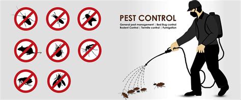 Manpada service road, thane west. Pest Control in Thane | Thane Pest Control