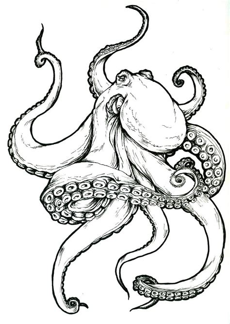 Tattoo Design I Made For A Friend Octopus Tattoo Design Octopus