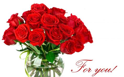 Download 77,437 bunch roses images and stock photos. 50 Beautiful Red Rose Images To Download - The WoW Style