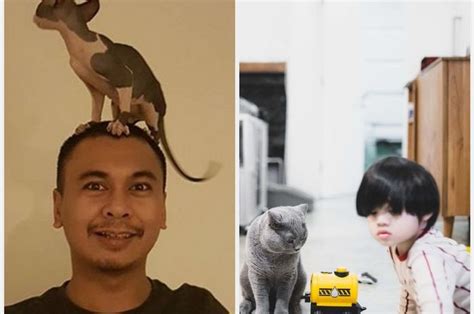 5 Artis Yang Pelihara Kucing Mahal Milik Rachel Vennya Seharga Mobil
