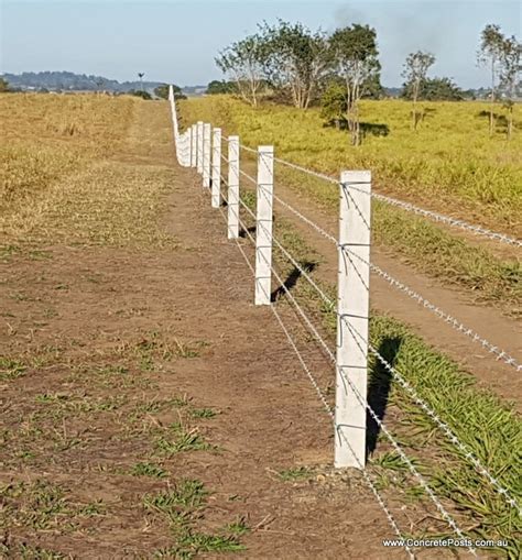 Fp21 19m 64ft Notched Concrete Fence Post