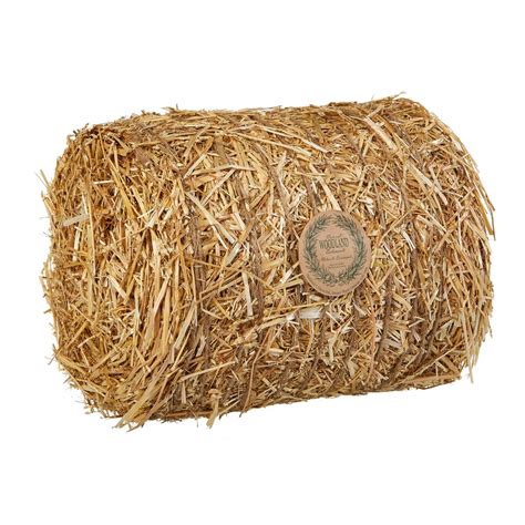 Round Bale Of Real Straws For Fall Thanksgiving And Halloween Home