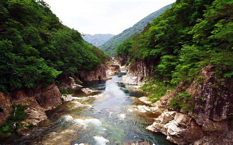 Japan Nikko National Park Forest Rivers Preview