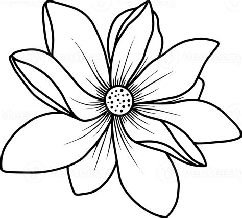 Flower Sketch Line Art Illustration 10863943 Png