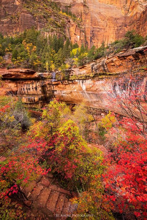 Emeralds And Rubies Of Zion Emerald Pools Zion National Park