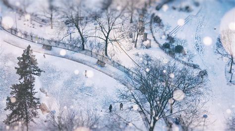Aerial View Of A Little Park On A Snowy Day In Toronto Bing Gallery