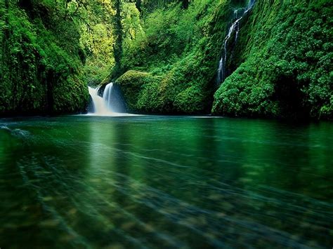 An Emerald Forest Waterfall Wallpaper Waterfall Forest Waterfall