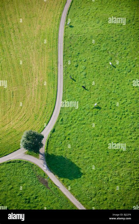 Country Road And Fields Stock Photo Alamy