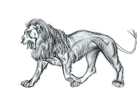 Lion King Drawing By Yelena Rubin Fine Art America