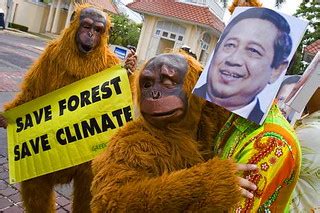 There are only nine of us representing indonesia and malaysia. ปกป้องผืนป่าในภูมิภาคอาเซียนช่วยยุติโลกร้อน Greenpeace: pr ...