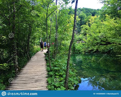 Landscape Of Plitvice Lakes National Park Or Nacionalni Park Plitvicka