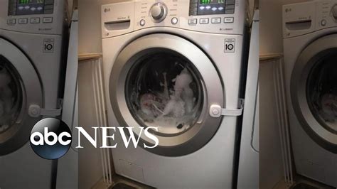 Parents Say Toddler Got Stuck In Washing Machine Youtube