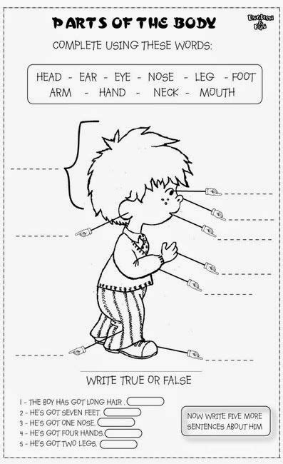 Les 8 meilleures images de anglais en 2020  Coloriage codé, Apprendre