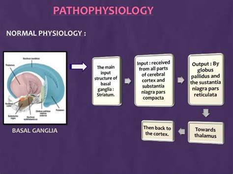 Although the etiology of pd is not completely understood, the condition likely results from a confluence of factors. Parkinson's Disease