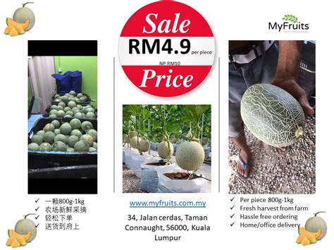 农场新鲜哈密瓜直达kl🍈，一颗才rm49 Myfruits Farm Fresh To Doorstep Facebook