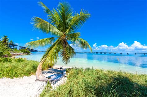 10 Best Beaches in Florida Keys - Which Florida Keys Beach is Right For